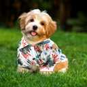 Weewooday 4 Pieces Pet Summer T-Shirts Hawaii Style Floral Pet Dog Shirt Breathable Cool Clothes Beach Seaside Puppy Sweatshirt for Puppy(Cute Style,X-Large)