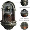 Teamson Home 32.1 in. Wall-Mounted Lion Head Stone LED Outdoor Water Fountain for Gardens, Landscaping, Patios, Balconies, Lawns to Create a Calming Oasis in Outdoor Living Spaces, Antique Bronze