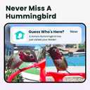 Birdfy Hummingbird Feeder with Dual Cameras - 2K HD Smart Cameras Solar Powered, Close-Up Bird Video/Live Watching & Instant Notifications, Ant Moat & Leakproof - 20oz