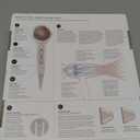T3 FEATHERWEIGHT 3i PROFESSIONAL HAIR DRYER