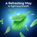 Oral-B Glide Mint Dental Floss Picks with Long Lasting Scope Flavor, 3 Pack of 75 Picks (225 Total)