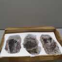 3 Pcs Driftwood Stump Log Concrete Planter Driftwood Planter Succulent Pot Plant Pot for Succulents for Outdoor Indoor Home Patio Garden Decoration (Retro)