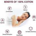 Crown Collection Silver Solid Free Size Pillow Shams Set of 2 - Hypoallergenic 500-TC 100% Egyptian Cotton Decorative Tailored Poplin Pillow Cover (Silver, Emperor/Oversize 20'' x 40'') (King / Cal-king 20x40")