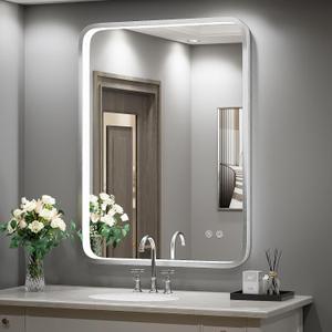 LED Bathroom Mirror with Lights,20x28 Inch Brushed Silver Framed Lighted Vanity Mirror,Anti Fog Stepless Dimmable Wall Mounted(Horizontal/Vertical)