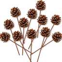 Whaline Christmas Natural Pine Cones 12 Pieces Pinecone Picks Christmas Tree Ornament Holiday Centerpiece for Xmas Tree Garland Wreath Home Party Decor Supplies, 1.8 Inch