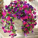 Ivydale 2 PCS Artificial Hanging Flowers Fake Plants Outdoor,Silk Morning Glory Faux Flowers with Eucalyptus Leaf,UV Resistant Realistic Hanging Petunias Plants for Home Garden Decor (Purple+Fuchsia)