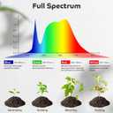 Shyineyou Grow Lights for Indoor Plants, 80LEDs Clip Plant Lights for Indoor Growing, Full Spectrum LED Plant Growing Lamps with Flexible Gooseneck 3 9 12Hrs Timer, 9 Dimmable Levels (Red & White)