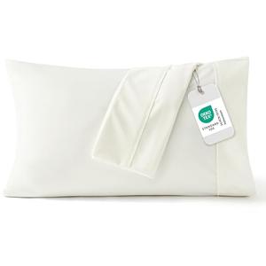 Bedsure Queen Pillow Cases Set of 2 - Ivory Brushed Microfiber Pillowcase 2 Pack, Super Soft Pillowcase, Cream Pillow Case Covers with Envelope Closure for Kids, Wrinkle, Fade Resistant, 20x30 Inches