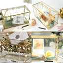12.6" Glass Wedding Card Box with Lock, Large Gold Metal Card Box for Party Reception HoneyMoon Fund Box, Wedding, Baby Showers, Birthdays, Bridal or Graduation Party Box