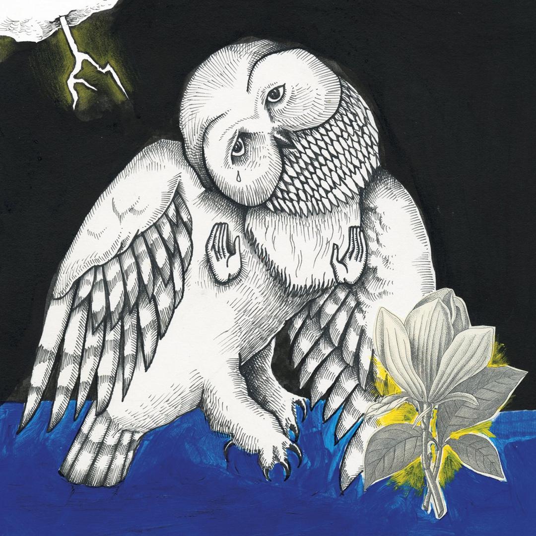 MAGNOLIA ELECTRIC COMPANY CO by Songs: Ohia, Vinyl