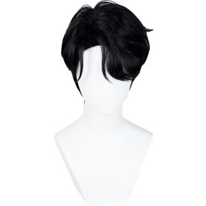 Mens Cosplay Wig Anime Short Straight Wig Synthetic Hair for Halloween Costume Outfits Accessory Party (Black, Short, Straight)