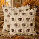 DFXSZ Fall Pillow Covers 18x18 Set of 2 Brown Pumpkins Embroidery Beige