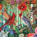 1000 Piece Puzzle for Adults Birch Birds Jenna Dellagrottaglia Cardinals Challenging Jigsaw by Playview