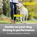 PetSafe Gentle Leader No-Pull Dog Headcollar - The Ultimate Solution to Pulling - Redirects Your Dog's Pulling for Easier Walks - Helps You Regain Control - Medium, Black