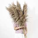 9 Stems Pampas Grass Decor Tall 48''/4 FT, Long Fluffy Dried Pompas Grass, Large Pampas Grass for Floor Vase, Rustic Wedding, Baby Shower, Party, Farmhouse, Boho Home Decor