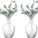 Hacaroa 2 Pack Clear Stout Glass Vases, 10 Inch Small Decorative Balloon Jug Vases Single Bud Neck Flower, Handmade Vintage Flower Vase for Tabletop, Centerpiece, Home, Hotel Decoration