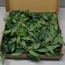 Artificial Willow Leaves Garland Fake Hanging Vines Plant Artificial Silk Ivy Greenery 9Ft Faux Evergreen Wreaths for Wedding Indoor Outdoor Garden Party Table Decor (Light Green)