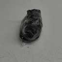 VACVELT Cot Fitted Sheet, 31 x 75 Inch Charcoal Black Cot Sheets, Ultra Soft and Breathable Microfiber Bed Cover Snug Fit for Narrow Twin/RV Bunk/Camper Bunk/Guest Beds/Trifold Mattress