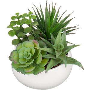 Hollyone Fake Plants Artificial Succulents in Pots Faux Succulent Arrangement Potted Plant with White Ceramic Pot for Home Decor Modern Office Desk Bathroom Shelf Living Room Indoor Decoration