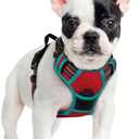 rabbitgoo Dog Harness No Pull with 2 Leash Clips, Adjustable Soft Padded, Reflective Oxford No Choke Pet Vest with Easy Control Handle for Small Dogs, Red & Teal, S