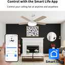 Universal Smart WiFi Ceiling Fan Remote Control Kit, Compatible with Alexa, Google Assistant and Smart Life App, No Hub Required DIMMER