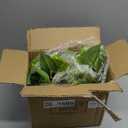 MyGift Vibrant Lifelike Artificial Plant Pothos Leafy Vine Greenery in Natural Solid Acacia Wood Rectangular Planter Box
