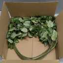 HyeFlora 5PCS Artificial Eucalyptus Leaves Stem Plants for Spring Decor, 32.7 inch Fake Leaves Greenery Branches Green Shrubs Silk Faux Foliage DIY Stems for Festival Home Kitchen Farmhouse(Green)