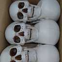 Sratte 6 Pcs Halloween Human Skull Model Adult Plastic Skull Decor Fake Head Decorations Realistic Head Bone Model Human Skeleton Statue (8 Inch)