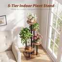 5 Tier Plant Stand Indoor, Corner Plant Rack for Multiple Plants