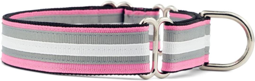 If It Barks 1" Martingale Collar for Dogs, Adjustable Nylon, USA Made, Medium, Spunky (Medium (15"-22"))
