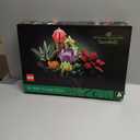 LEGO Botanicals Succulents - Artificial Indoor Plant Building Set for Home, Kitchen, Desk Decor Adults Ages 18+ - Gift for Graduation - 10309