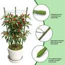TOCCYARD 4 Pack Plant Support Tomato Cages for Garden, 24 Inches Tomato Cages and Supports with Adjustable Rings for Garden Pots, Plant Stakes Tomato Trellis Rings for Climbing Plants