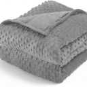 Wemore Minky Dot Weighted Blanket for Adults Queen Size 15 lbs, Soft Cozy Heavy Blanket for Stress Relief and Sleep Promotion, Breathable Blanket for All-Season with Glass Beads, Grey 60 x 80 inches (60" x 80" 15lbs)