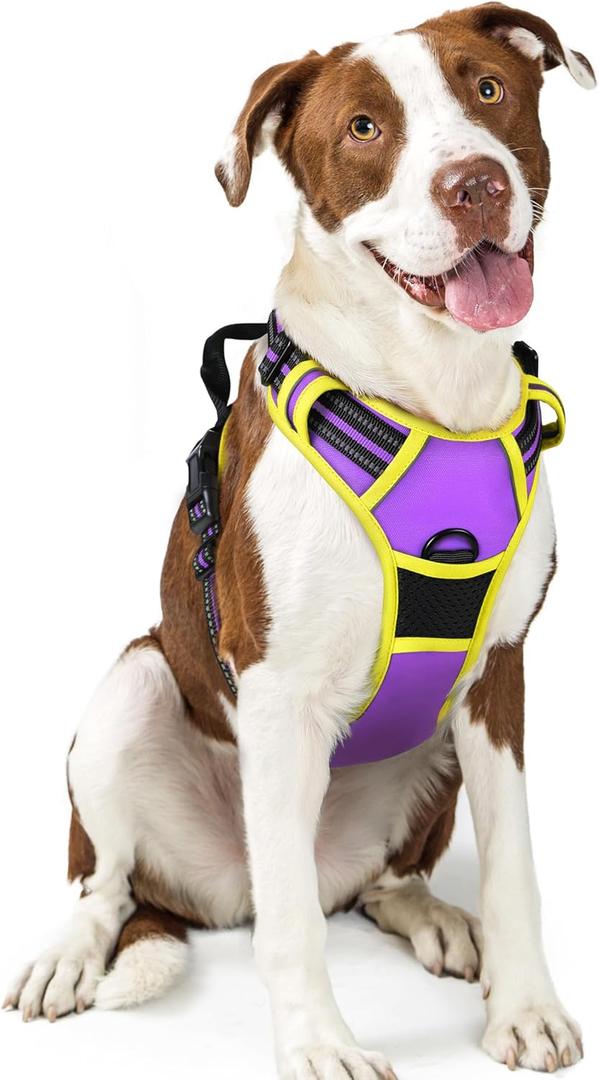 Rabbitgoo Dog Harness No Pull with 2 Leash Clips, Adjustable Soft Padded, Reflective Oxford No Choke Pet Vest with Easy Control Handle for  Dogs, Purple & Yellow, L