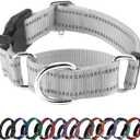 Hikiko Reflective Martingale Dog Collars with Buckle Nylon Adjustable No Slip Training Pet Collar (Medium, Sliver Grey)