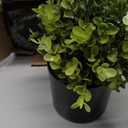 7" H Fake Plants Indoor 2 Pack Small Artificial Plants,Topiary Greenery Mini Potted Plants for House Office Tabletop Decoration