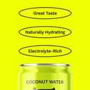 CoAqua Organic Coconut Water, 6 Pack, Natural Electrolytes for Hydration, Naturally Sweet Electrolyte Drink Potassium, Pure Coconut Water Not from Concentrate, Fat Free, Low Sugar, 8.4 Fl Oz Cans (EXP 03/12/27)