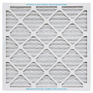 Peter vent filters 18x20x1 in pack of six