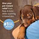 Veterinary Formula Flea and Tick Shampoo for Dogs and Cats, 16 oz