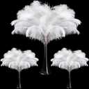 Maitys 90 Pcs Large Natural Ostrich Feathers Bulk 14-16 Inch (35-40cm) 12-14 Inch (30-35cm) 10-12 (25-30cm) Ostrich Feathers Plumes for Centerpieces Wedding (White)