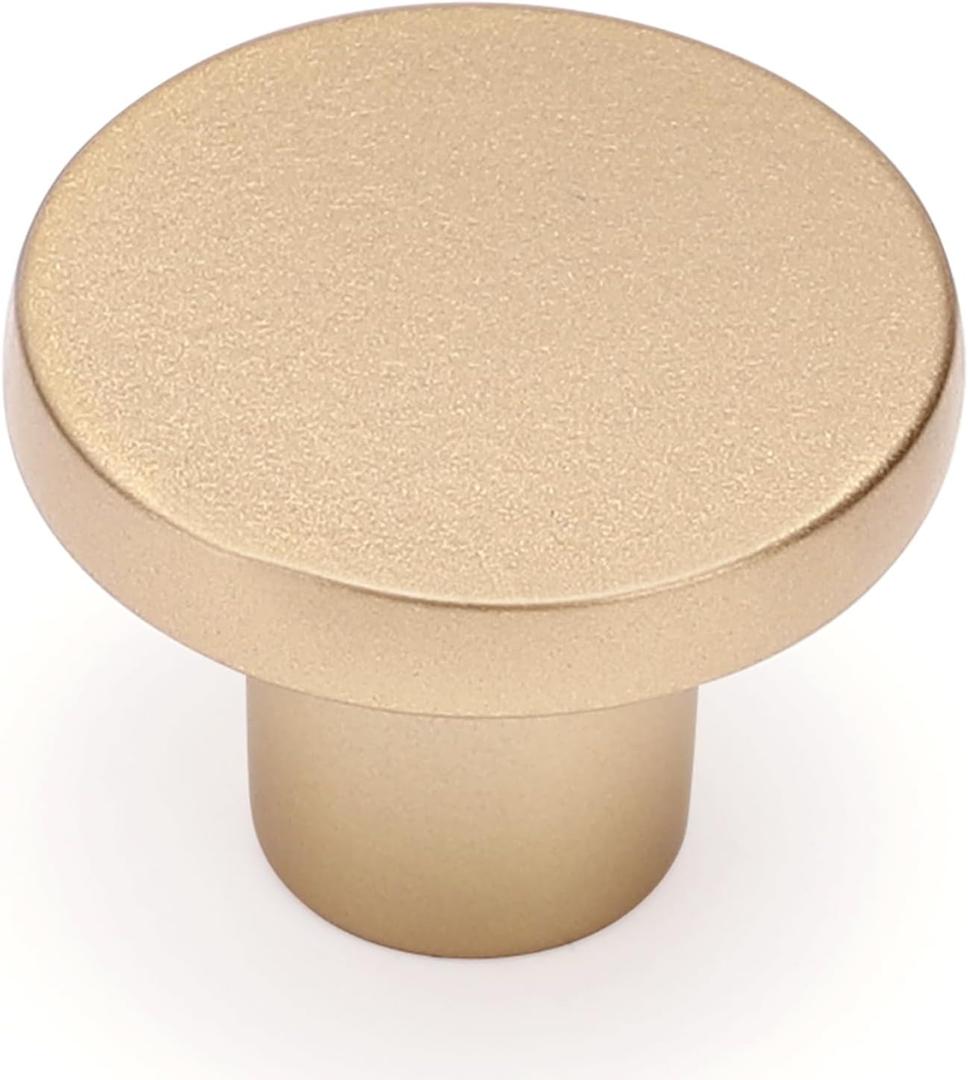 Ravinte 10 Pack Cabinet Knobs Champagne Gold Kitchen Cabinet Knobs Round Dresser Drawer Pulls Closet Door Pulls 1-1/5 Inch
