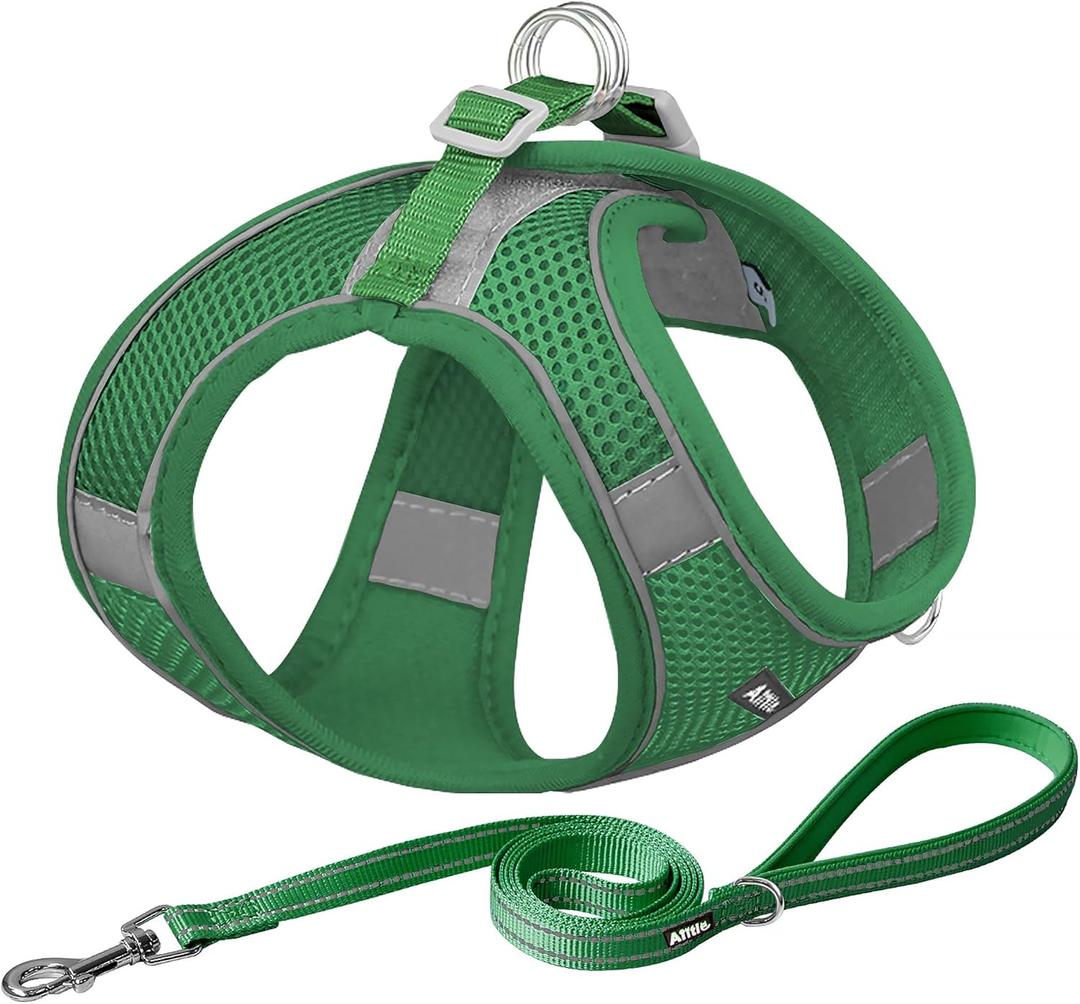 AIITLE No Pull Dog Harness and Leash Set, Step in Adjustable Dog Harness with Padded Vest for All Weather, Dog Leash with Soft Padded Handle, Easy to Put on Small and Medium Dogs Green S (S(Chest: 13.5 - 16"))