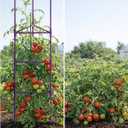 Growsun 51 inch Tomato Cage Heavy-Duty Plant Support Cucumber & Vine Vegetables Adjustable Purple Metal Garden Trellis for Climbing Plants, Indoor & Outdoor Use, 3 Pack