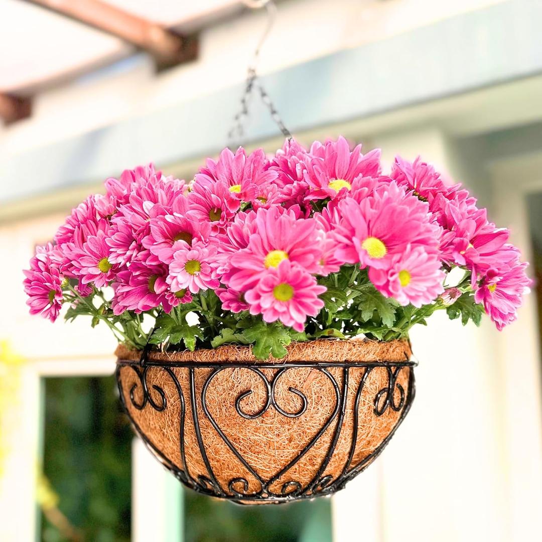 LaLaGreen Hanging Baskets for Plants (14 Inch, 4 Pack) Hanging Flower Pots with Coco Liner, Black Metal Wire Round Basket Plant Holder with Hanger Hook Chain, Outdoor Patio Deck Balcony Garden Decor