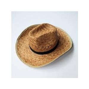 Western Boho Vintage Straw Woven Natural Cowboy Cowgirl Unisex Hat Tan