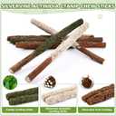 Catnip Chew Toys for Cats, 24 Pack Cat Toys with Silvervine Sticks, Natural Silvervine Stick Cage Balls & Bell Balls for Indoor Cats