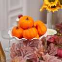 Pumpkin Decor Set of 12 Mantel Table Centerpiece Farmhouse Thanksgiving Fall Decorations for Home