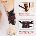 Dog Hock Brace Rear Leg Built-in Metal Spring Strips Support for Sprains, Arthritis, Ligament Injuries, Post-Op Recovery with Adjustable Compression Straps (Large)