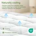 Niagara Sleep Solution Ultra Soft Queen Size Mattress Topper - Viscose Made from Bamboo Pillow Top Mattress Pad for Back Pain Relief - Naturally Cooling for Hot Sleepers, Green