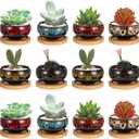 12 Pcs Ceramic Succulent Garden Pots Succulent Small Plant Cactus Planter Ceramic Pot with Drainage Hole and Bamboo Tray Matte Round Container (2.5 Inch)